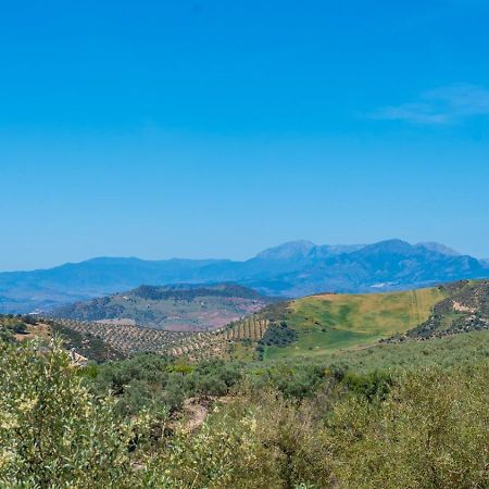 Alma Del Tejar Antequera La Higuera By Ruralidays Villa Exterior photo