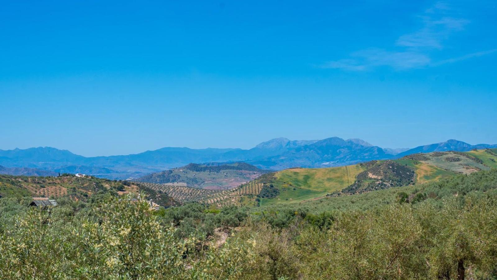 Alma Del Tejar Antequera La Higuera By Ruralidays Villa Exterior photo